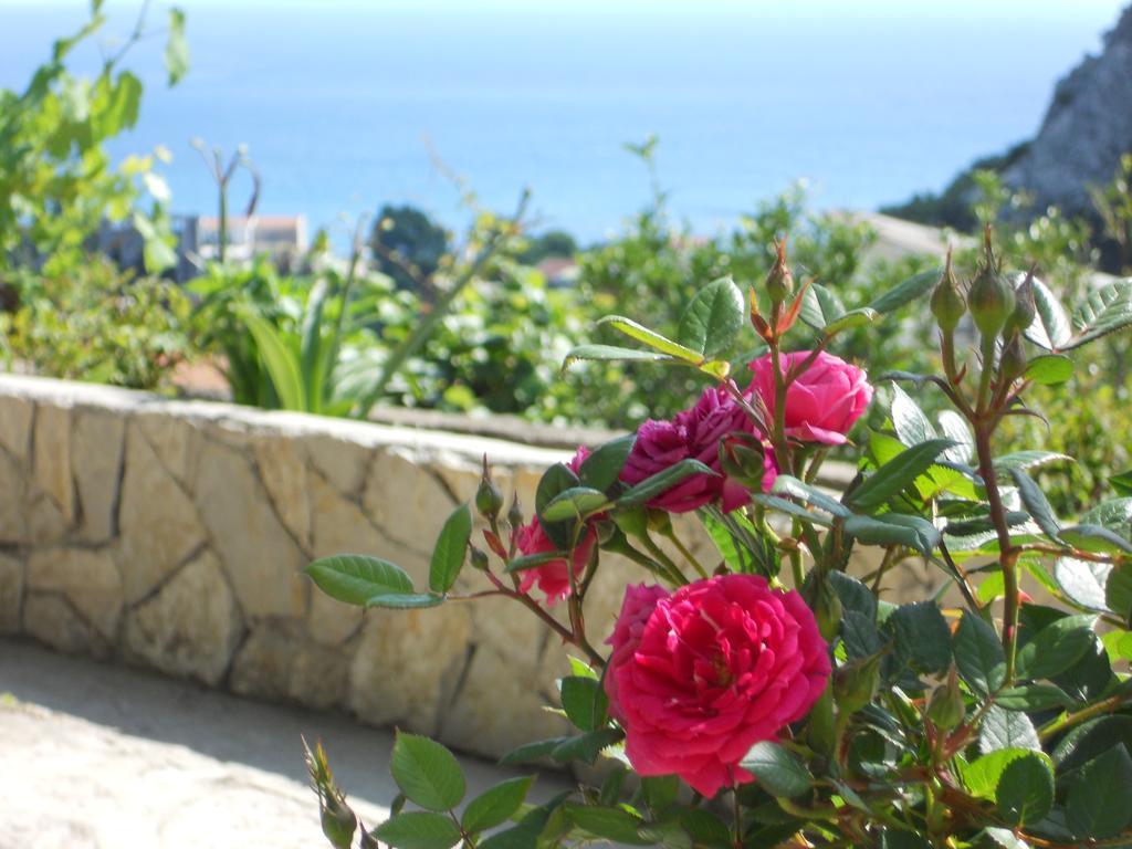 Apartment Djukovic Petrovac Buitenkant foto