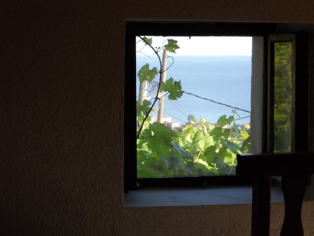 Apartment Djukovic Petrovac Buitenkant foto